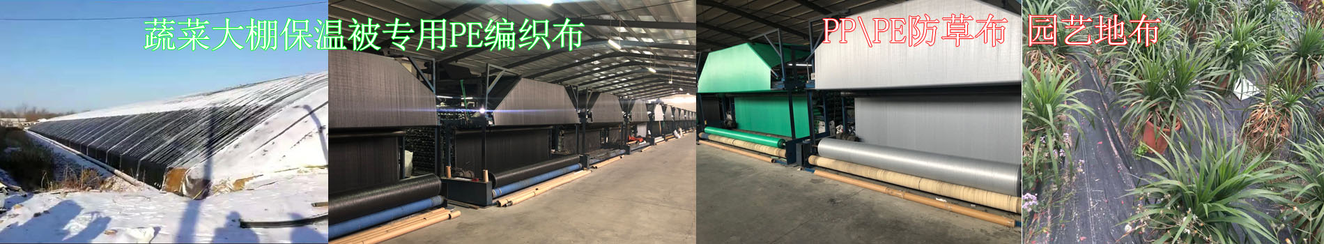 test5